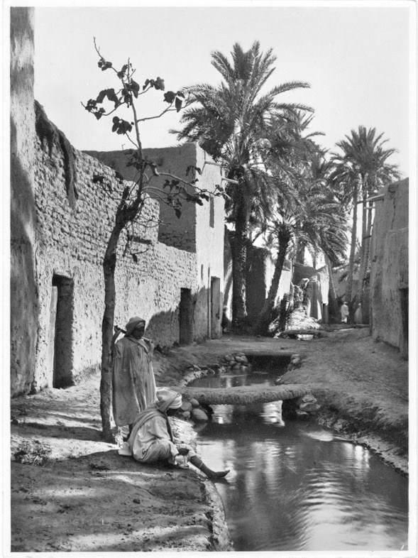 . الجزائر 1910.